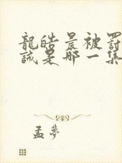 龙皓晨被罚跪训诫是哪一集