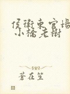 侯卫东官场笔记 小桥老树