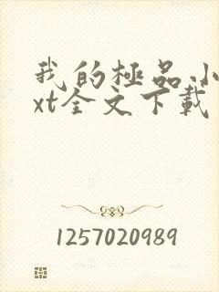 我的极品小姨txt全文下载