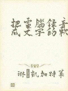 把电脑录音转化成文字的软件