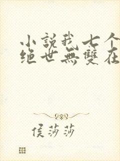 小说我七个姐姐绝世无双在线阅读