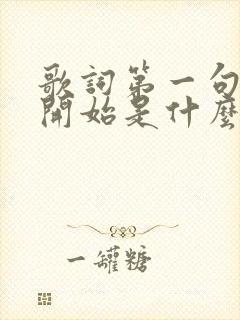 歌词第一句是一开始是什么歌