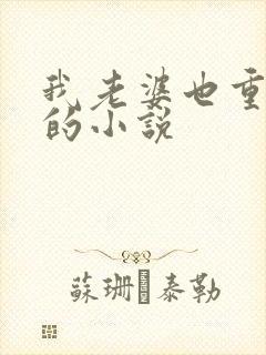 我老婆也重生了的小说