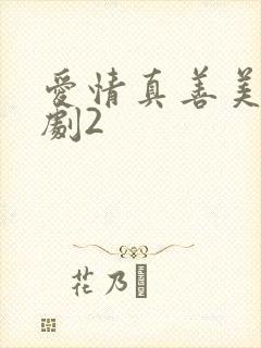 爱情真善美电视剧2