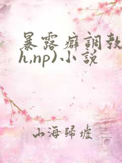 暴露癖调教(高h,np)小说