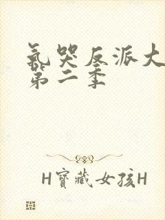 气哭反派大小姐第二季