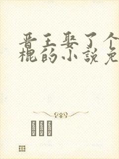 晋王娶了个女神棍的小说免费阅读