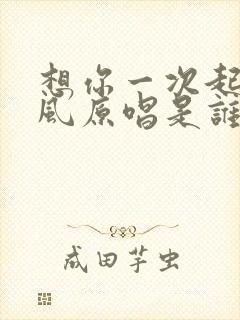 想你一次起一阵风原唱是谁