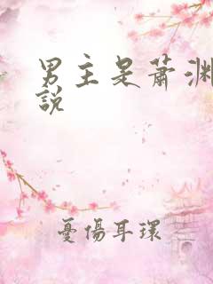 男主是萧渊的小说