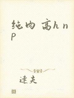纯肉 高h np
