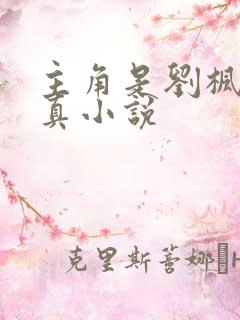 主角是刘枫的修真小说