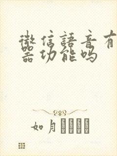 微信语音有变声器功能吗