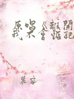 原唱《离开的人我不会惦记》