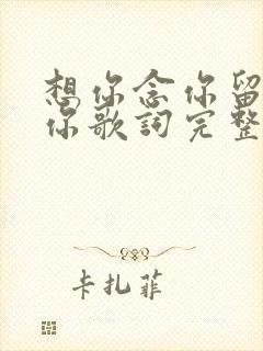 想你念你留不住你歌词完整版