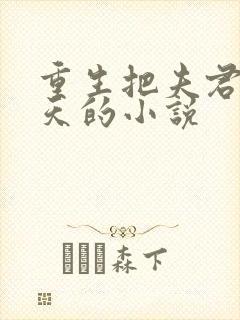 重生把夫君宠上天的小说