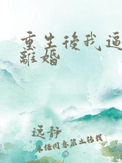 重生后我逼渣攻离婚