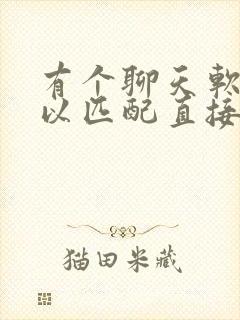 有个聊天软件可以匹配直接语音的