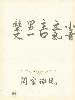 双男主文小说推文一口气看完