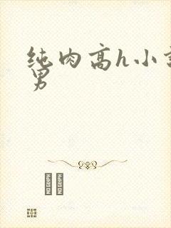 纯肉高h小说男男