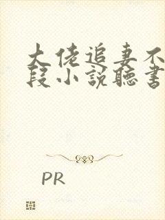 大佬追妻不择手段小说听书