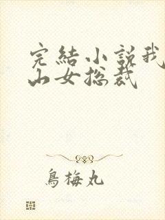 完结小说我的冰山女总裁