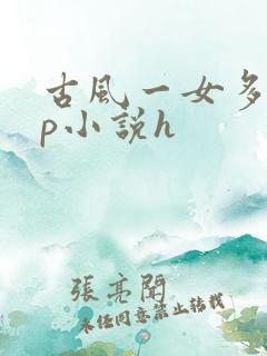 古风一女多男np小说h