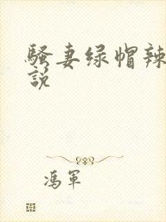 骚妻绿帽辣文小说