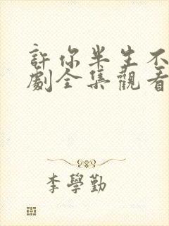 许你半生不见短剧全集观看