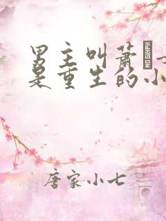 男主叫萧玦女主是重生的小说