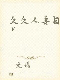 久久人妻日韩a v