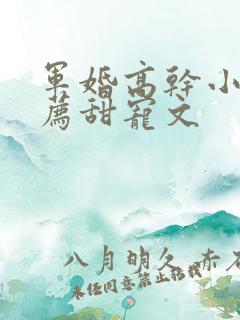 军婚高干小说推荐甜宠文