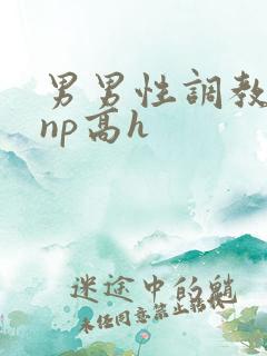 男男性调教小说np高h