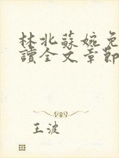 林北苏婉免费阅读全文章节