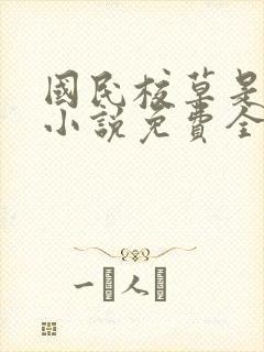 国民校草是女生小说免费全集