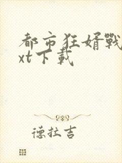 都市狂婿战神txt下载