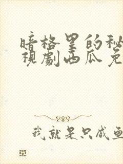 暗格里的秘密电视剧西瓜免费观看