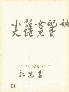 小说女配她成了大佬免费