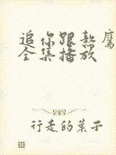 追你跟熬鹰短剧全集播放