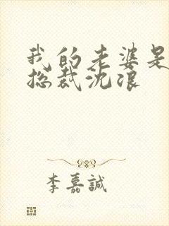 我的老婆是冰山总裁沈浪