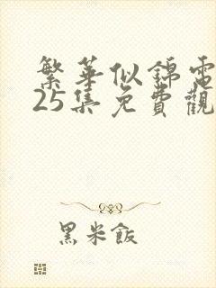 繁华似锦电视剧25集免费观看