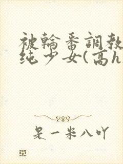 被轮番调教的清纯少女(高h)