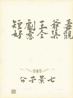 短剧王爷毒妃不好惹全集观看