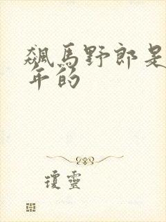 飙马野郎是几几年的