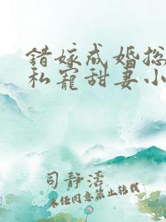 错嫁成婚总裁的私宠甜妻小说完整版