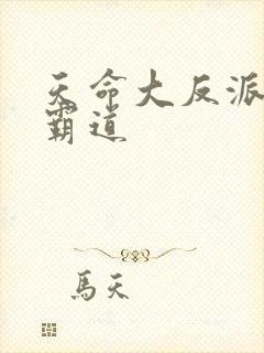 天命大反派 黄霸道