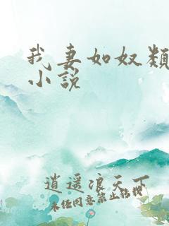 我妻如奴类似的小说