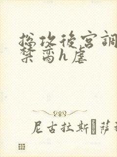 总攻后宫调教成禁脔h虐