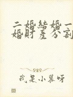 二婚结婚一年离婚财产分割