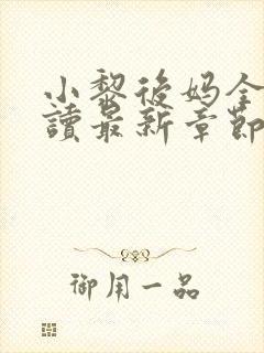 小黎后妈全文阅读最新章节