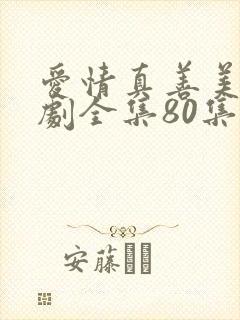 爱情真善美电视剧全集80集